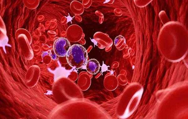 Hematology Diseases in India: Common Conditions and Treatments
