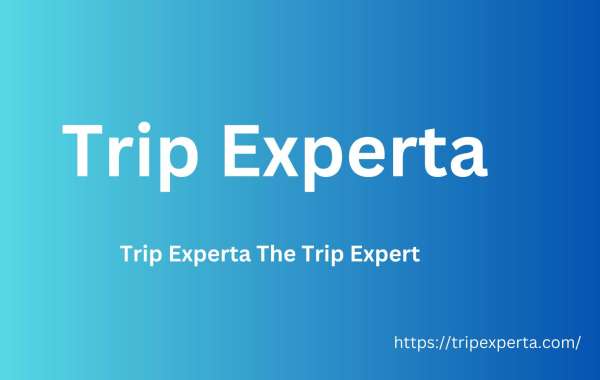Trip Experta The Trip Expert