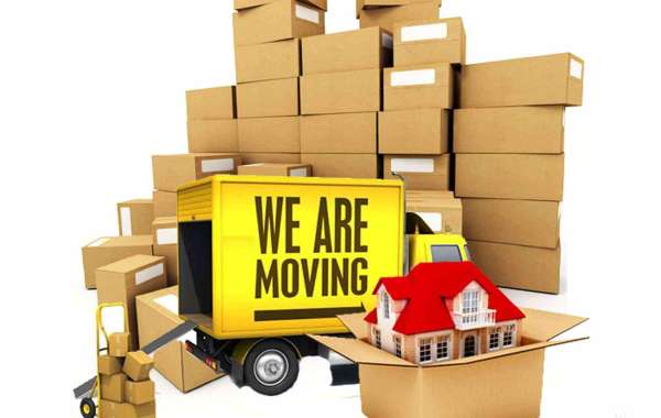 Moving Your Valuables With Care: Velachery Packers And Movers