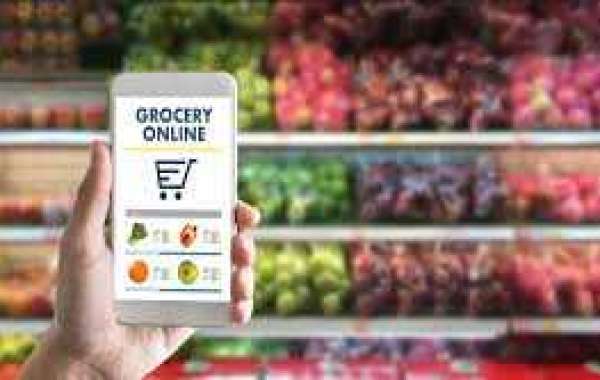 India Online Grocery Market: Exploring Opportunities with Market Size and Growth Projections