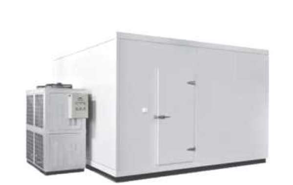 The Benefits of Ultra-low Temperature Freezers for Long-term Storage