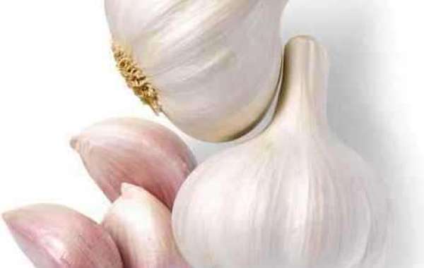 Spice up Your Garlic Game with Garlic Distributors