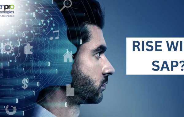 Five Reasons to choose RISE with SAP by Denpro Technologies