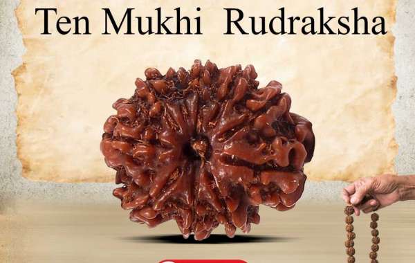 Buy 10 Mukhi Rudraksha At Best Price In India