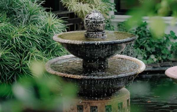 Water Features in Your Garden: Adding Serenity and Beauty to Your Landscape