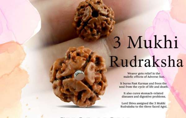 Buy 3 Mukhi Rudraksha At Best Price In India