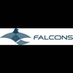 Falcons Gt Profile Picture