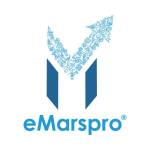 eMarspro LLC Profile Picture