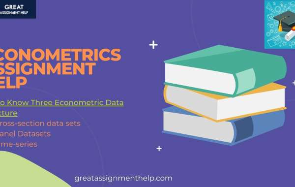 Benefits of Writing Down Econometrics Assignments on Your Own: Tips to Excel