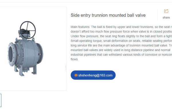 API 594 Dual plate check valve: an important device to ensure the safe and stable operation of the pipeline system