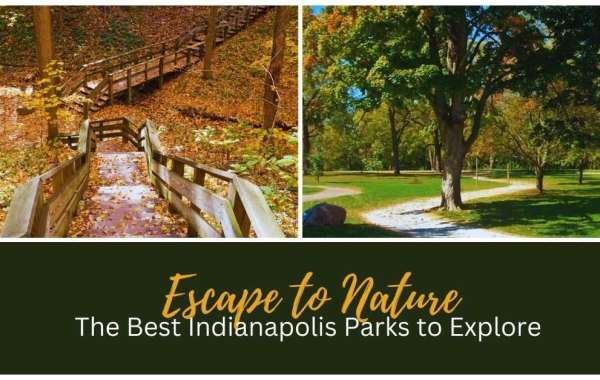 Escape to Nature: The Best Indianapolis Parks to Explore
