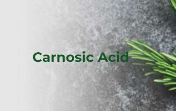 Carnosic Acid Producers in India