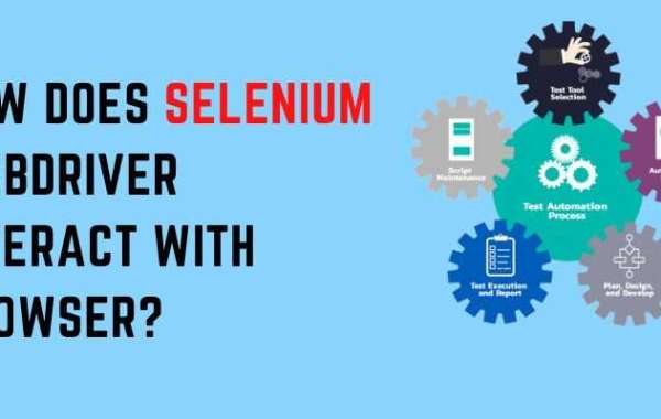 Selenium Training and Certification