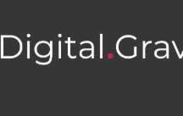 Increase the chances of your success with Digital Gravity Agency