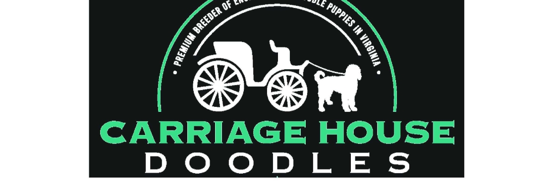 Carriage House Doodles Cover Image