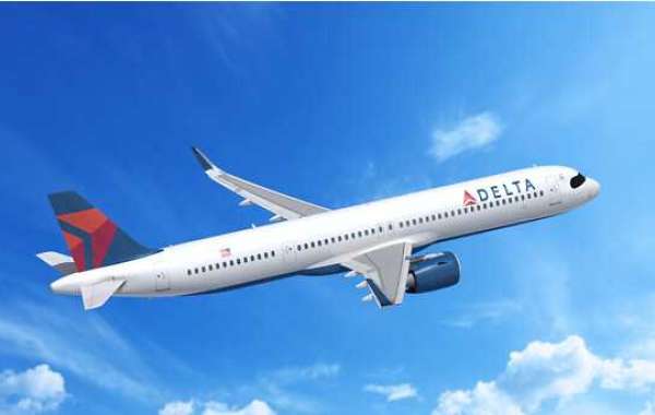 ¿Qué son los servicios de soporte de Delta Airlines?