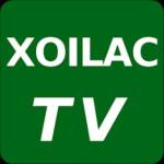XOILAC tv69 Profile Picture