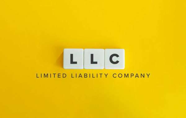 Why Do You Need Professional Service for LLC Registration?