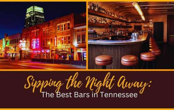 Sipping the Night Away: The Best Bars in Tennessee