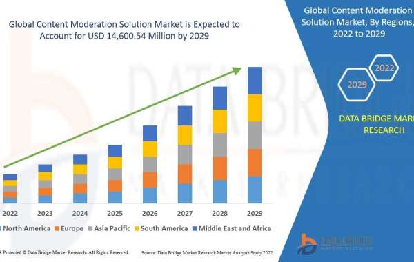 Content Moderation Solution Market Opportunity Analysis and Industry Trends in 2029