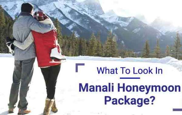 What To Look In Manali Honeymoon Package?