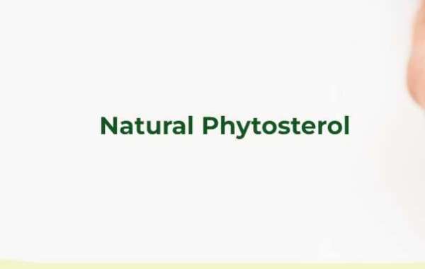 Phytosterol Manufacturer