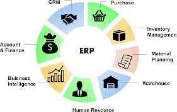 Unleashing the Power of ERP Implementation Services: Transforming Businesses for a Bright Future