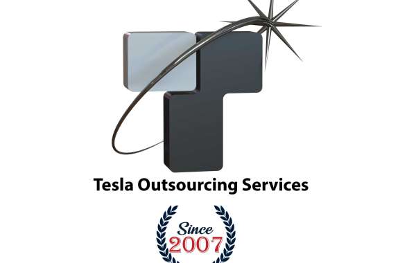 Tesla Outsourcing Services