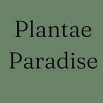 Plantae Paradise Profile Picture