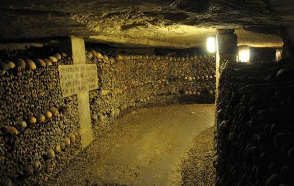 Exploring the Catacombs of Paris: A Bone-tastic Adventure!
