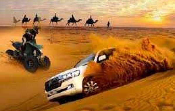 Find Your Thrills on Desert Safari
