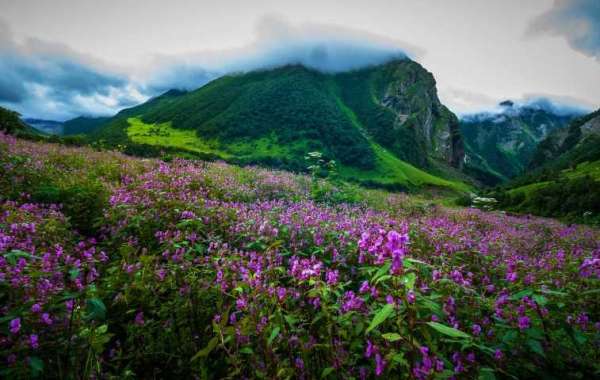 The Himalayan Serenity on the Valley of Flowers Trek