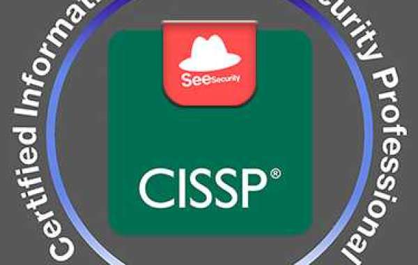 CISSP Dumps 2022: Unlock Your Cybersecurity Potential