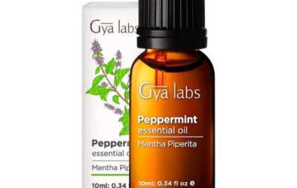 where can i buy peppermint oil