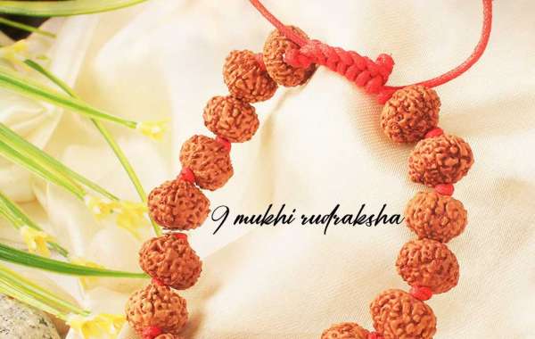 Buy 9 Mukhi Rudraksha Online at Rashi Ratan Bagya