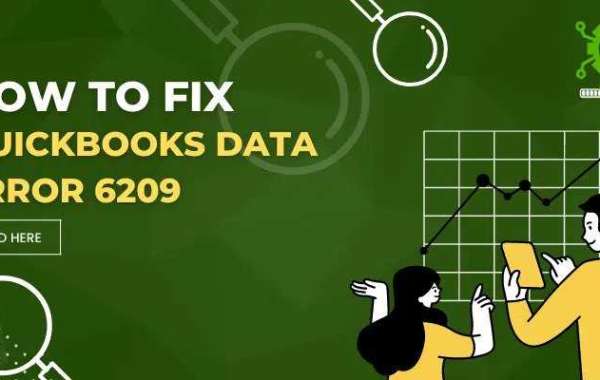 How to Resolve QuickBooks Data Error 6209?