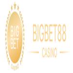 Bigbet88 us Profile Picture