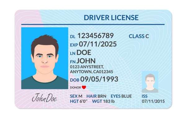What Are the Requirements for Obtaining an International Driver License?