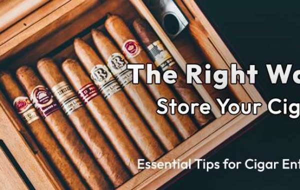 The Right Way to Store Your Cigars: Essential Tips for Cigar Enthusiasts