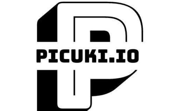 A Comprehensive Guide to Picuki - The Best Instagram Viewer and Downloader