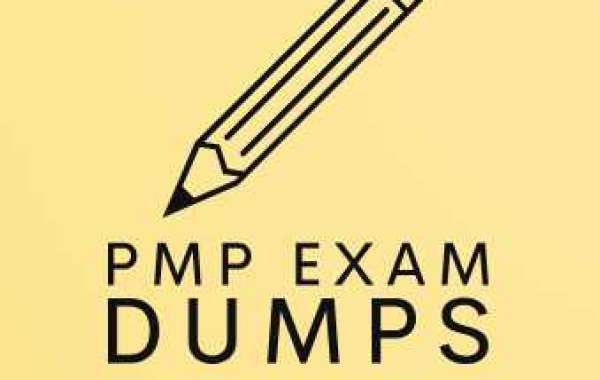 PMP Exam Dumps  you're a assignment manager working with an IT c