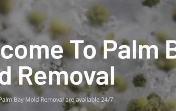  Water Mitigation in Palm Bay: Restoring Properties After Water Damage