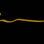 The Vines At Bethlehem Profile Picture