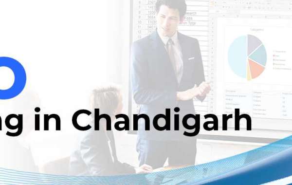 SEO Training in Chandigarh Sector 34