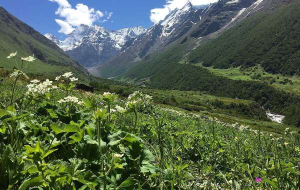 Trek to valley of flowers , Uttrakhand