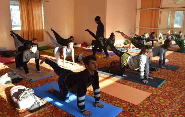 Unlock Your Potential: Join a Yoga Teacher Training Program in Rishikesh