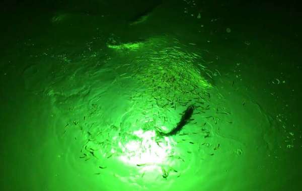 Unleashing the Power of Green Underwater Fishing Lights with Green Glow Dock Light