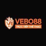 VEBO TV Profile Picture