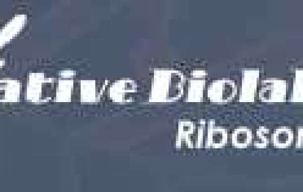 Drug Development Targets in Ribosome