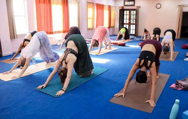 Yoga Teacher Training Centers in Rishikesh